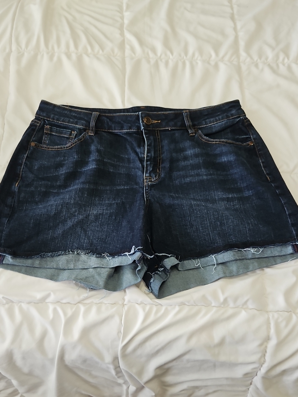Lane Bryant Dark Wash Denim Cuffed Jean Shorts